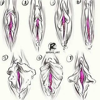 DIFFERENT TYPES OF VAGINA's AND HOW TO LICK IT.