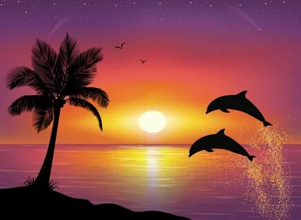 Painting Sunset Dolphin Drawing - Jessica Dovale