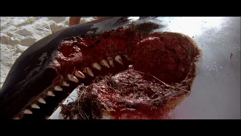 Blu-ray Forum - View Single Post - Jaws 2, Jaws 3, & Jaws: T