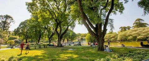 Cuarentena: comenzaron a preparar los parques para reuniones