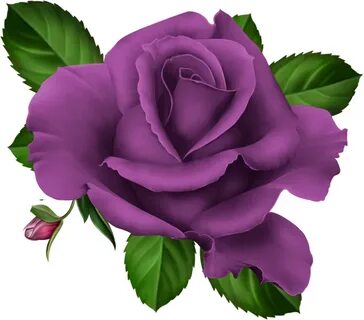 ForgetMeNot: Flowers - Roses purple