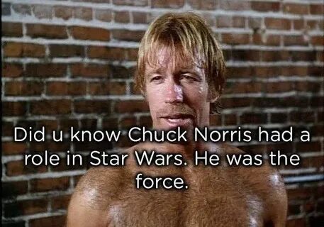 Chuck norris facts, Best chuck norris jokes, Chuck norris