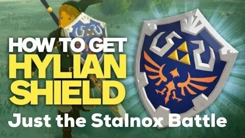 Breath of the Wild - Hylian Shield Stalnox Battle - YouTube