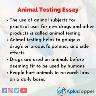 Animal testing essay pros and cons