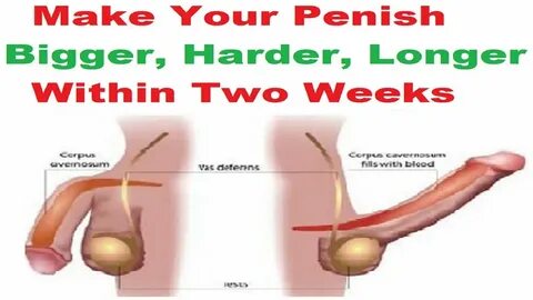 Make your dick Bigger Harder Increase Your Penis size 2021 S