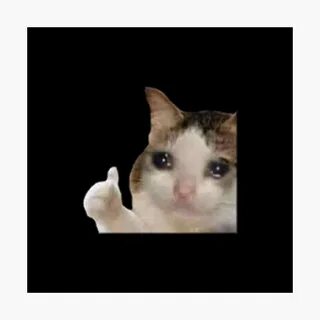 Crying Cat Thumbs Up Meme Transparent - Jamiemay Makeup