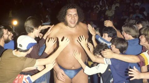 Image result for andre the giant Andre the giant, Wrestling 