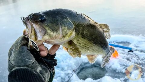Ideas For Better Ice Fishing - The American Outdoorsman