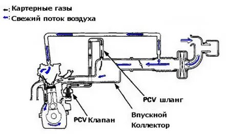 Система вентиляции картера двигателя AUTO-GL.ru