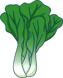Vegetable Leaf Green Rapeseed Food Png And Psd - Hinh Ve Rau