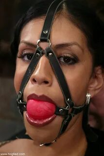 Hogtied Ice La Fox 66400911 