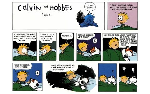 Calvin and hobbes sleeping