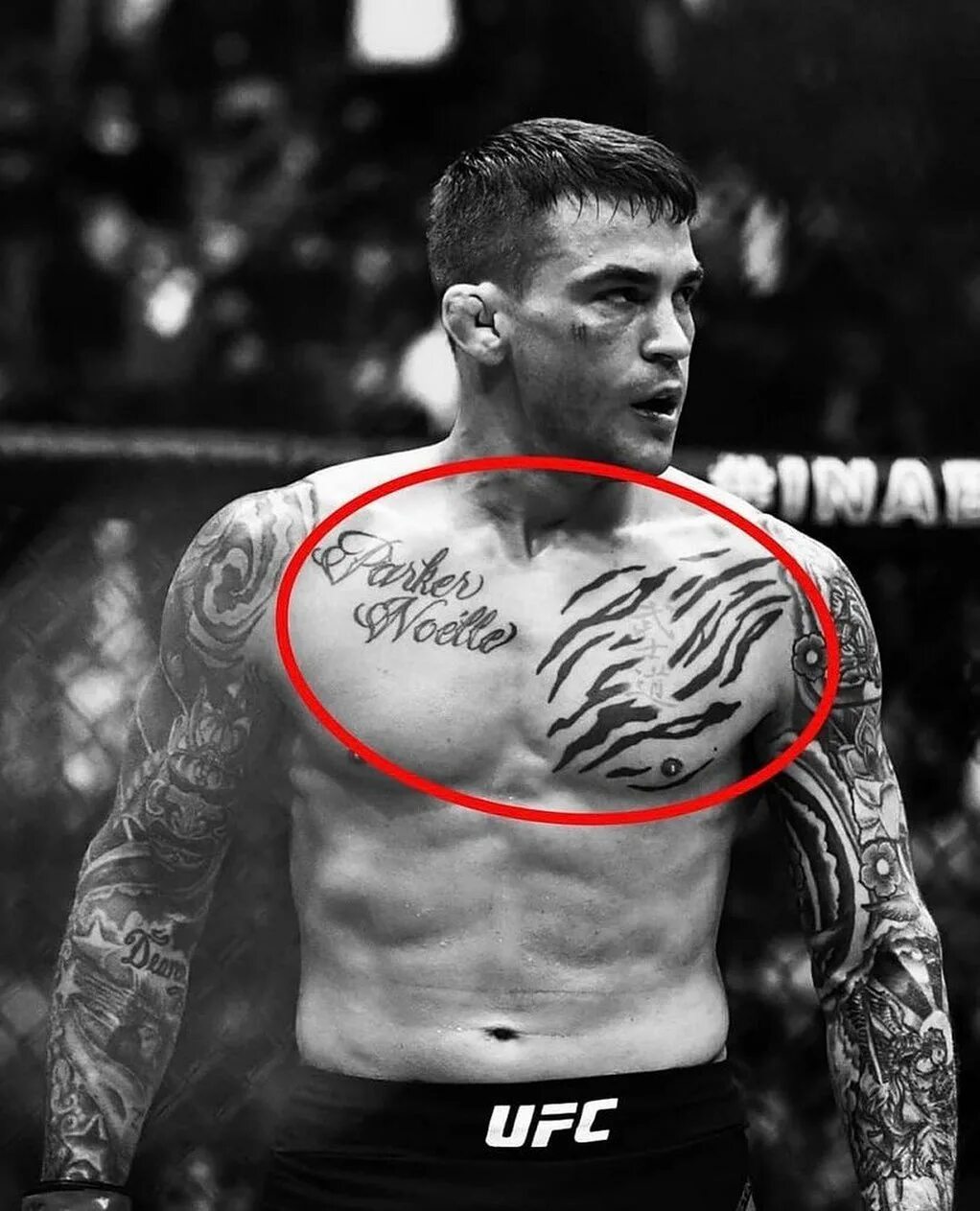 The Fight Game в Instagram: "Dustin Poirier Chest tattoos explained 🧐...