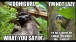 Some disturbing yet funny sloth memes - YouTube
