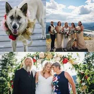 The Beautiful Monica Beets Wedding, Meet Husband - Who She M
