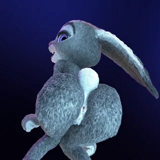 Rule34 - If it exists, there is porn of it / judy hopps / 16