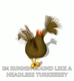 Headless Chicken GIF - Headless Chicken Run - Discover & Sha