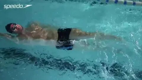 Speedo! GIF Gfycat