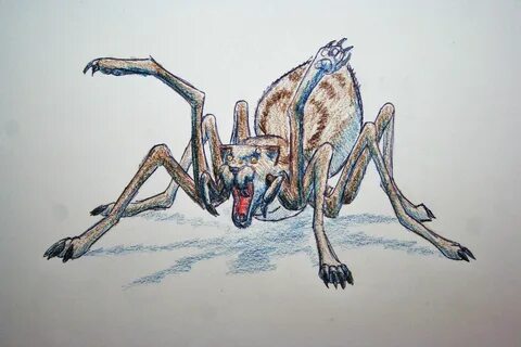 View Single Post: What is the Giant Wolf Spider supposed to 