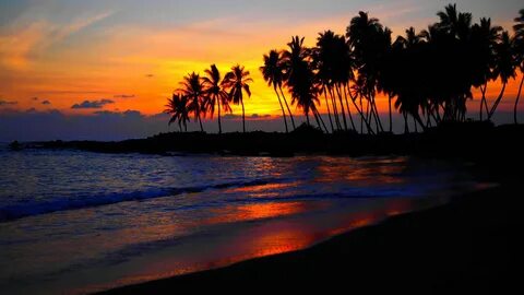 Sunset beach - картинки