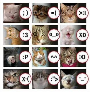 Kedicik ve Yüz İfadeleri :) Cat expressions, Funny cats, Mem