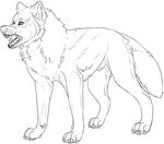 Wolf Snarling Drawing Snarl Getdrawings Sketch Coloring Page