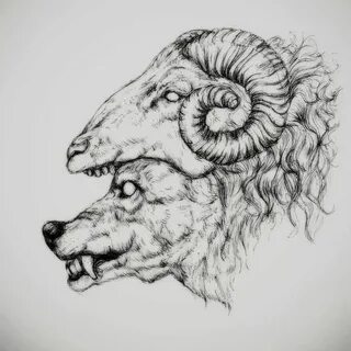 Wolf in Sheep's clothing Sheep tattoo, Sheep art, Sheep draw