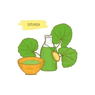 Centella Asiatica картинки, Фотографии и изображения - 123RF