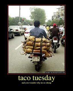 Taco Tuesday Funny Quotes. QuotesGram