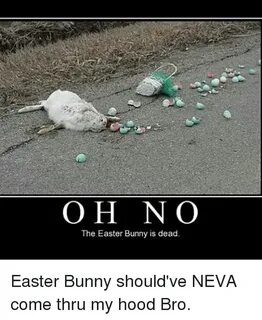 OH NO OH N O the Easter Bunny Is Dead Easter Bunny Should've