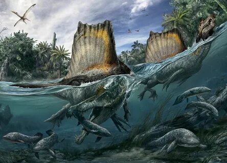 Fauna, Dinosaur Discovery, Recent Discoveries, Walk The Earth, Extinct Anim...