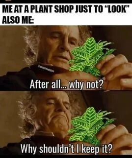 My precious! 😋 🌿 Plant jokes, Funny memes, Plants