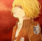 Armin Arlert page 33 - Zerochan Anime Image Board