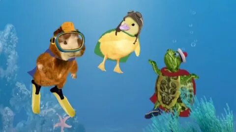 Wonder Pets Save The Dolphin Save The Chimp : Save the Dolph