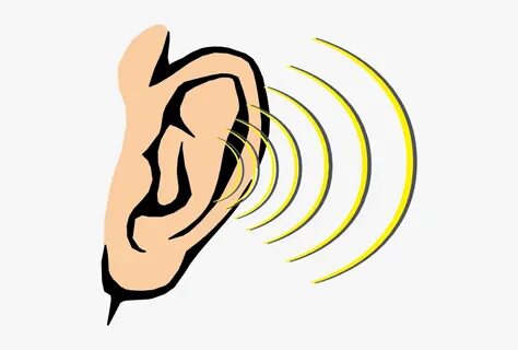 Clip Art Cartoon Ear - Sense Of Hearing Clipart, HD Png Down