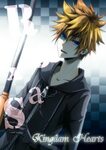 Kingdom Hearts Roxas Wallpapers (71+ background pictures)