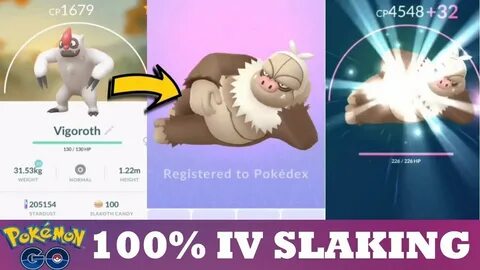 EVOLVING A 100% IV SLAKOTH TO 100% IV SLAKING! GENERATION 3 