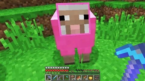 I found a pink sheep in minecraft (very rare) - YouTube