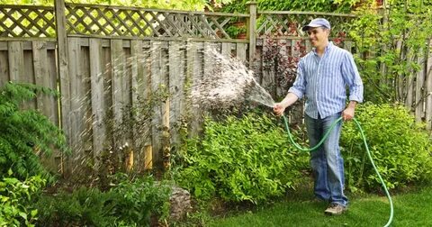 What Is The Best Flat Garden Hose For Your Home?