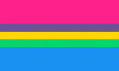 File:Multisexual pride flag.jpg - Wikimedia Commons