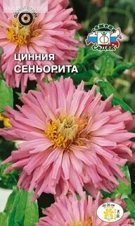 Сибирский сад 9 * Цинния Сеньорита смесь (Седек) * Совместны