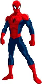 Spider-Man/Gallery Spiderman cartoon, Ultimate spiderman, Sp