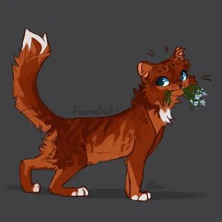 Flametail by GrayPillow on DeviantArt Warrior cats art, Warr