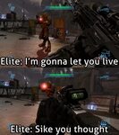 Halo Elite Meme - Pregnancy Informations