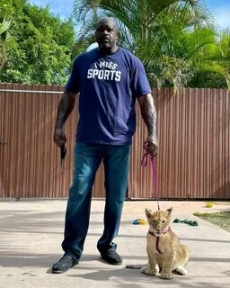 DR. SHAQUILLE O'NEAL Ed.D. в Instagram : "Shaq & Simba