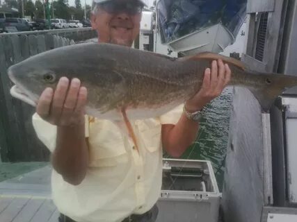 Tampa Fishing 2014