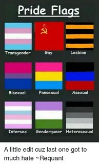 Pride Flags Transgender Gay Lesbian Bisexual Pansexual Asexu