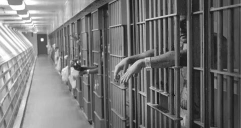 What's wrong with prisoner euthanasia? MercatorNet