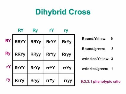 3/2/12- Do-Now: Copy AND answer the questions. - ppt downloa