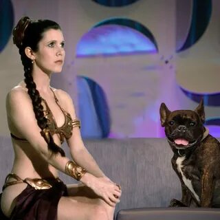 Carrie Fisher y su perro protagonizan una de las entrevistas